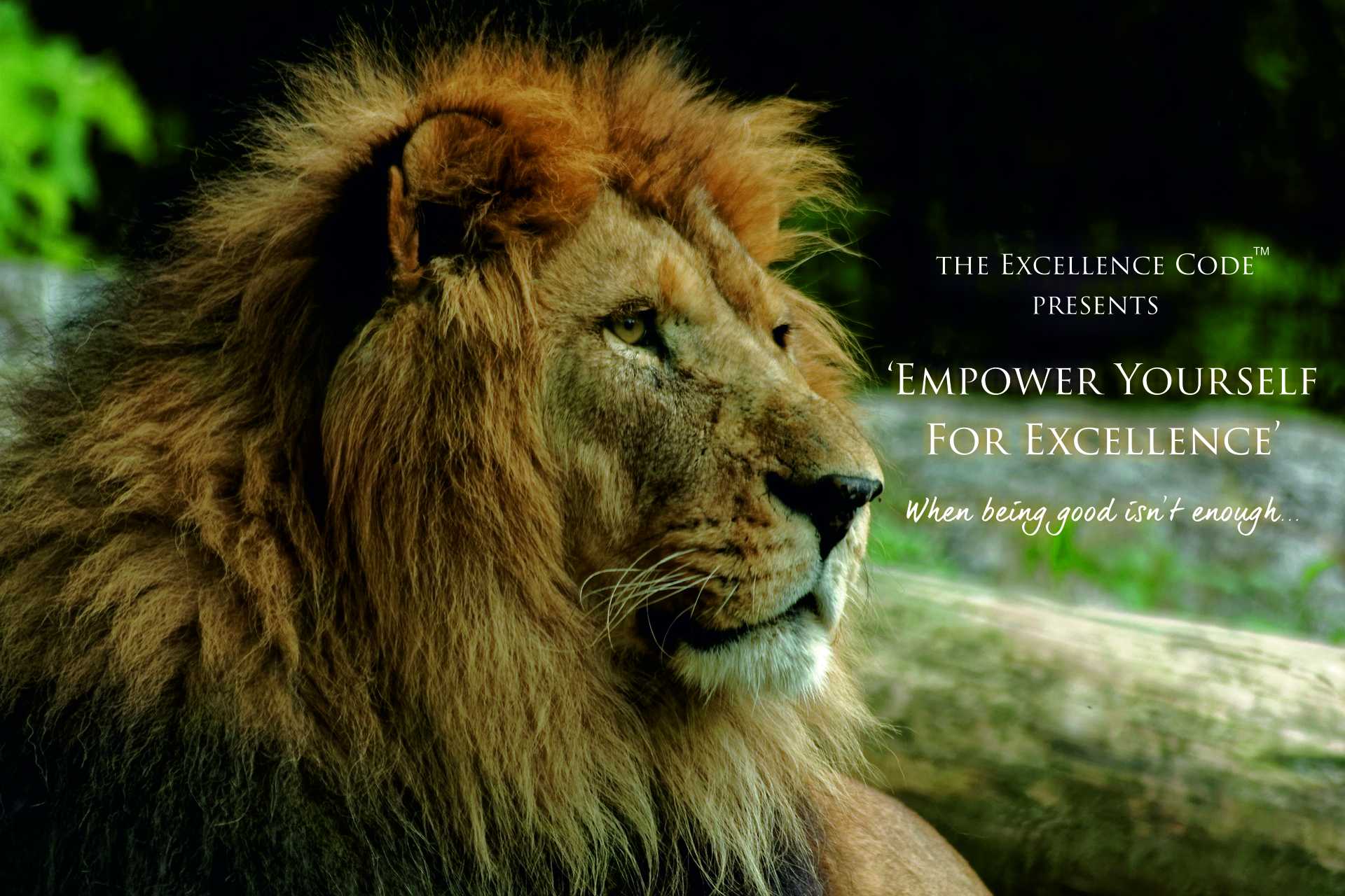 Empower Yourself For Excellence - The Excellence Code